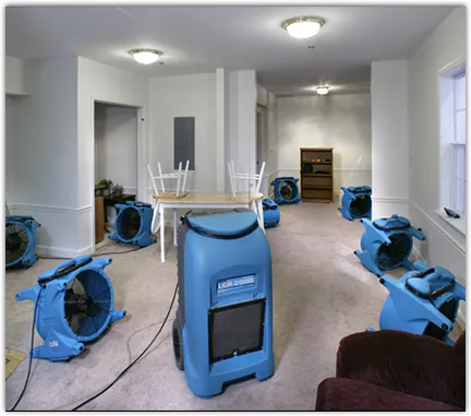 Drying & Dehumidification in Mansfield, NJ