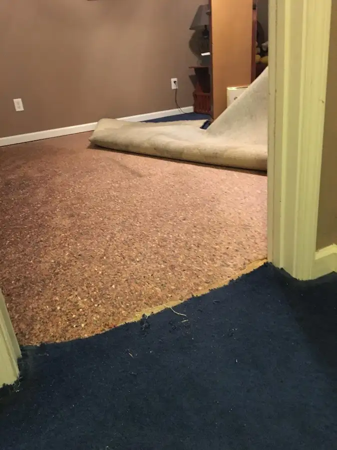 Carpet pad removal revealing water damage during Drying & Dehumidification in Mansfield