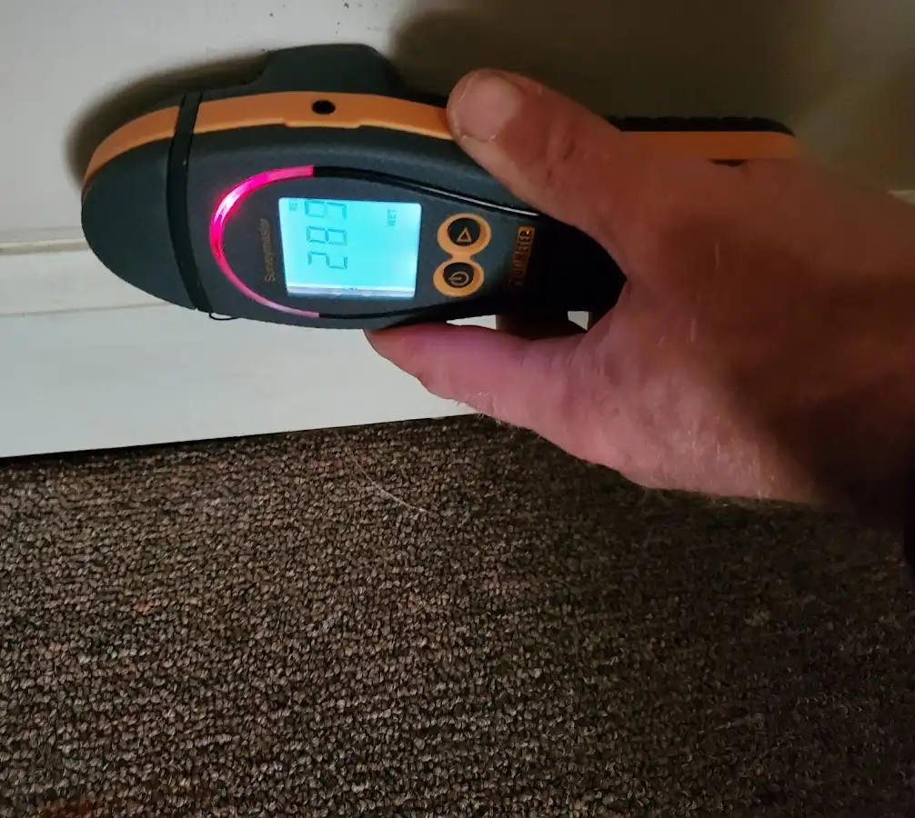 Moisture detection at baseboard during Sewage Cleanup & Sanitation in Mansfield